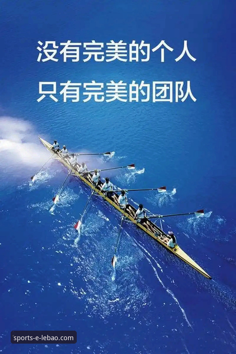 乐宝体育平台下载对比实战指南：三步选出最适合你的版本